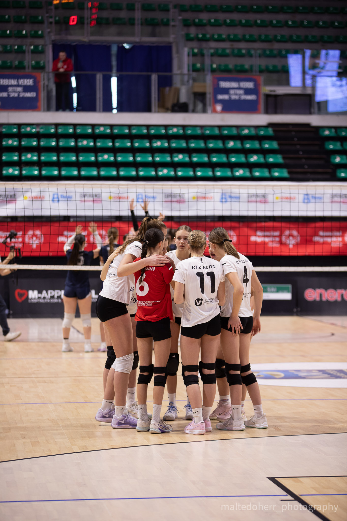 Bear Wool Volley 2026 — Besprechung